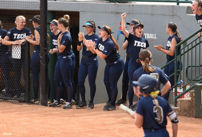 naia preseason top 25 coaches' poll, Oregon Tech, nfca, Oregon Tech softball, nfca poll, naia softball poll, naia